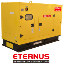 Generator Set Diesel für Bank (BU30KS)